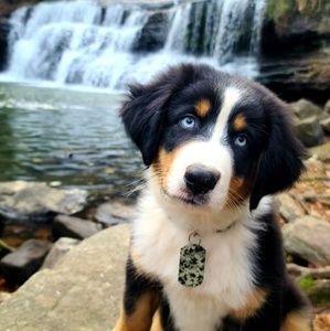 Meet your Posher, Jenna